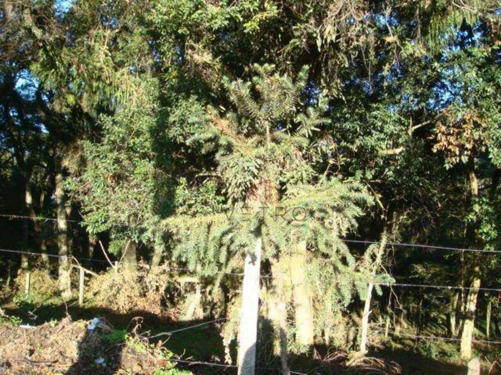 Terreno, 4825 m² - Foto 4