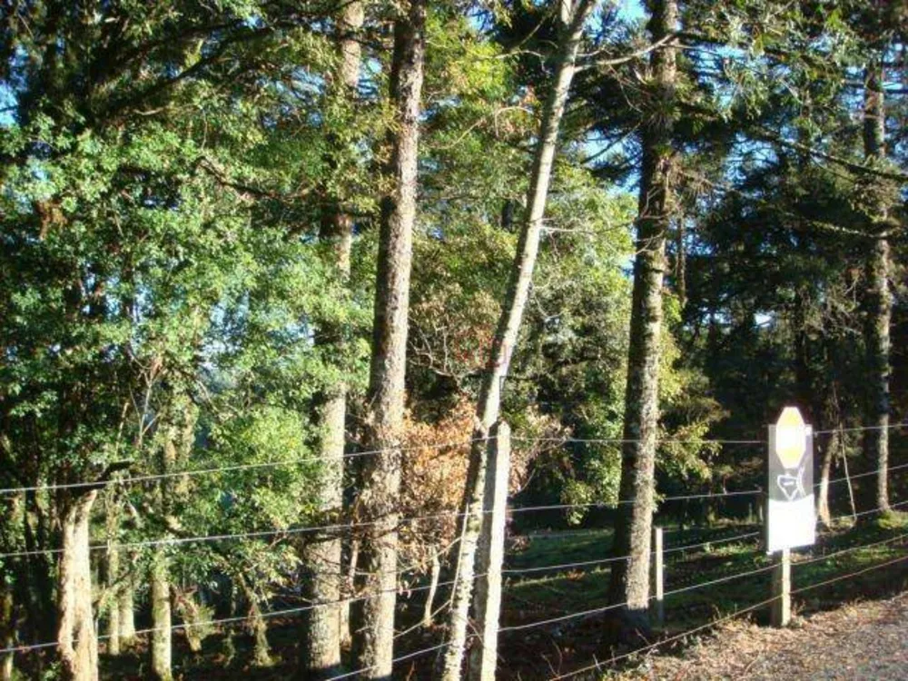 Terreno, 4825 m² - Foto 3