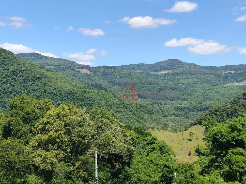 Sítio, 8900 m² - Foto 1