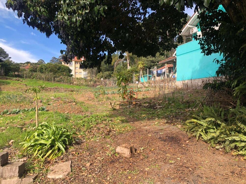 Terreno, 964 m² - Foto 5