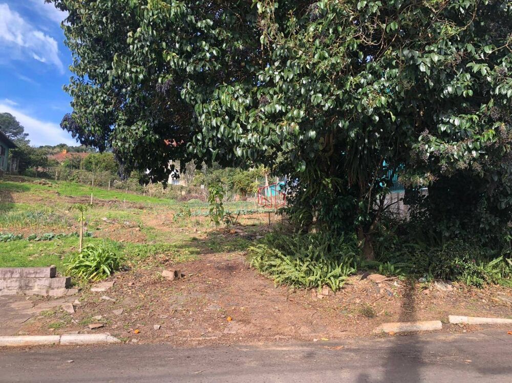 Terreno, 964 m² - Foto 1