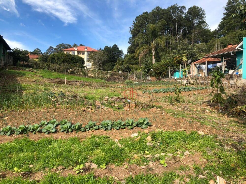 Terreno, 964 m² - Foto 2