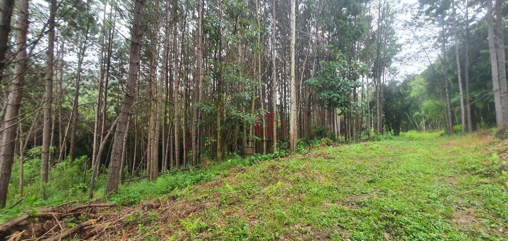 Sítio, 43 hectares - Foto 1