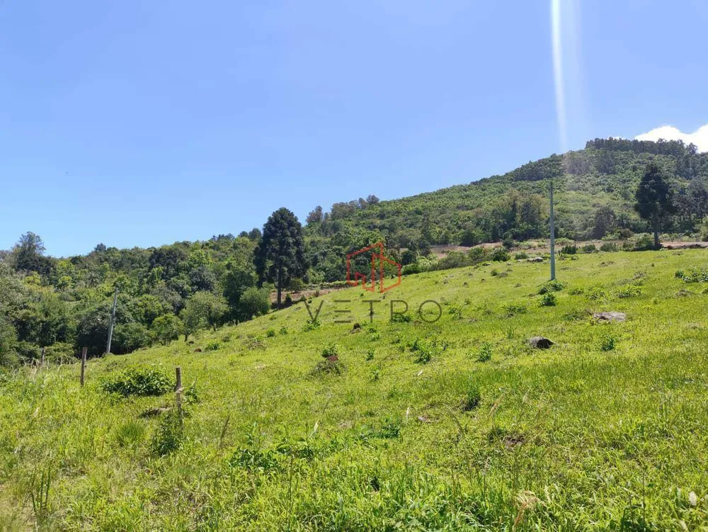 Sítio, 14 hectares - Foto 11