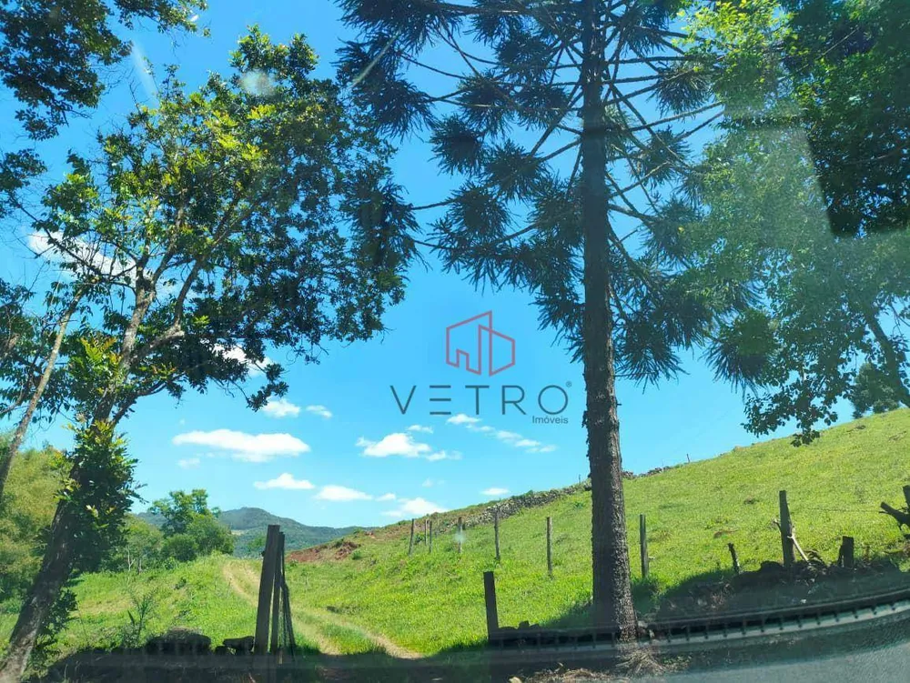 Sítio, 14 hectares - Foto 7