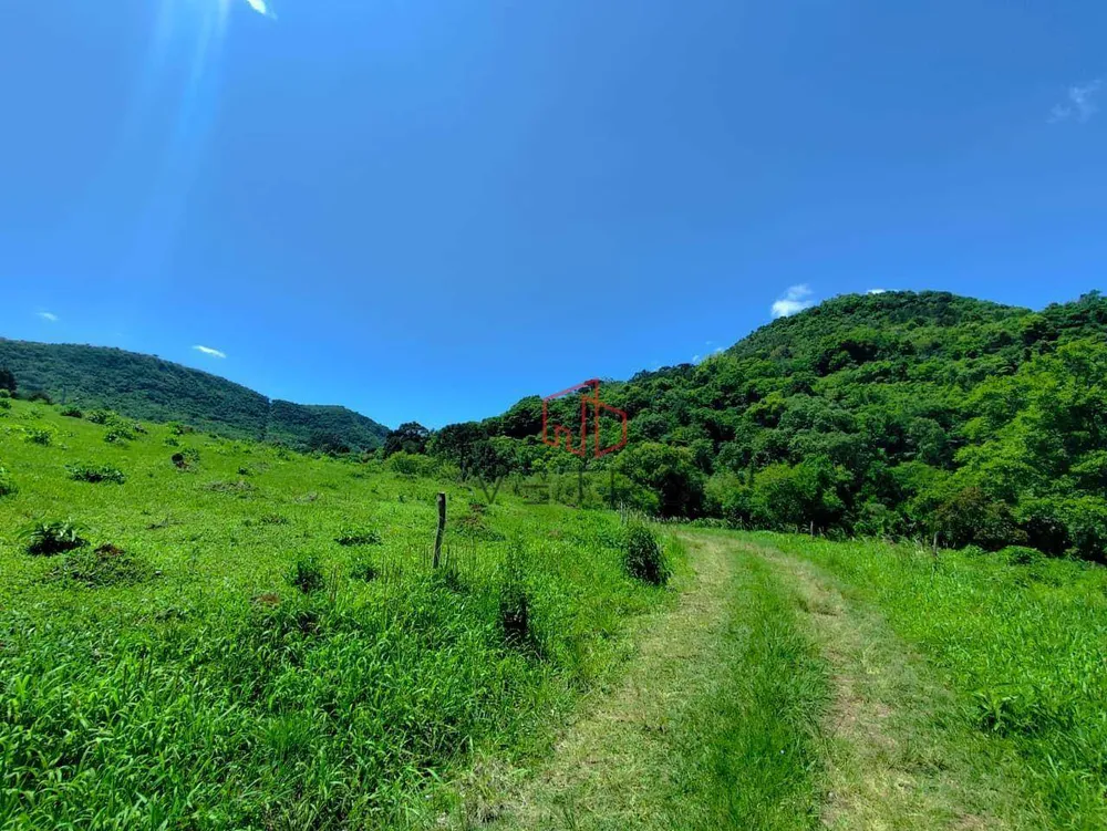 Sítio, 14 hectares - Foto 4