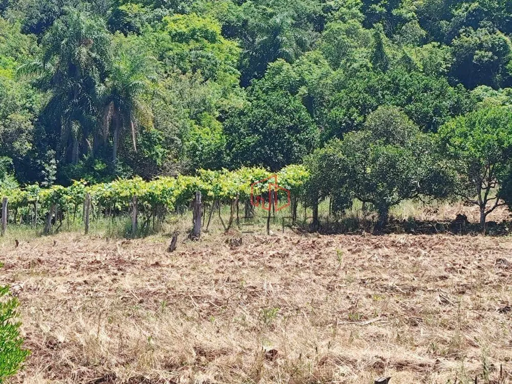 Sítio, 14 hectares - Foto 10