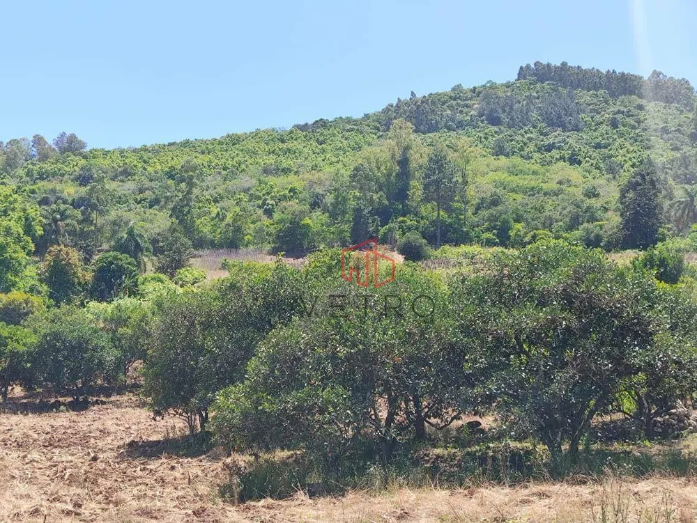 Sítio, 14 hectares - Foto 9