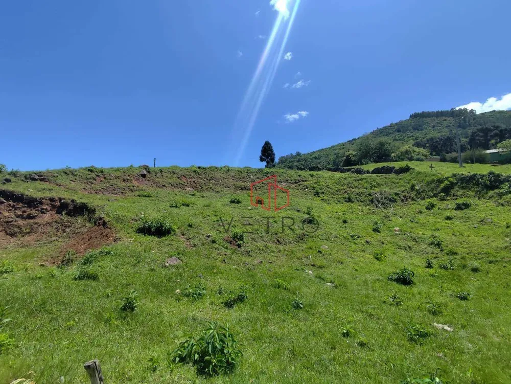 Sítio, 14 hectares - Foto 12