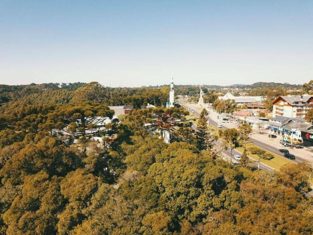 Terreno, 9854 m² - Foto 2