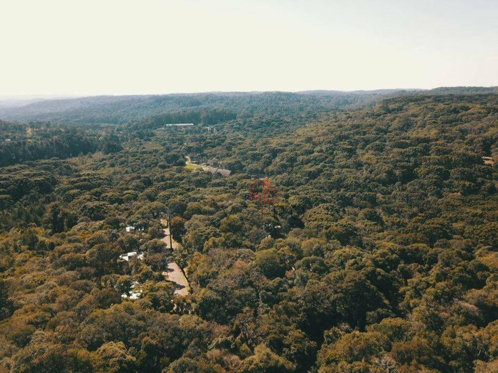 Terreno, 9854 m² - Foto 7