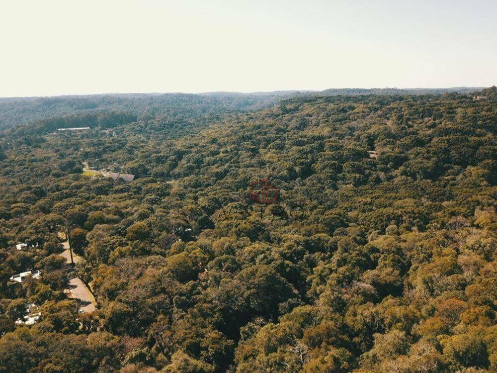 Terreno, 9854 m² - Foto 6