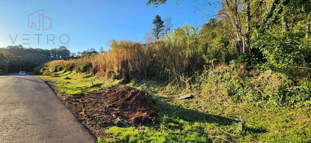 Terreno, 593 m² - Foto 3