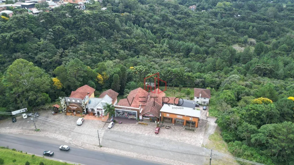 Terreno, 3845 m² - Foto 4