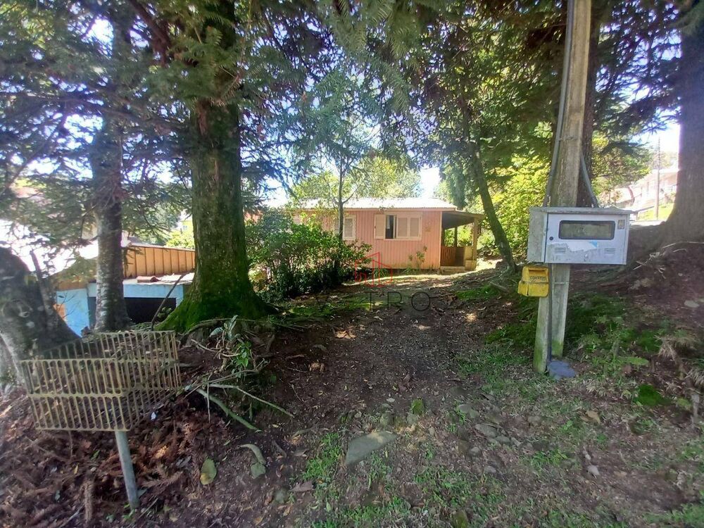 Casa, 6 quartos, 234 m² - Foto 5