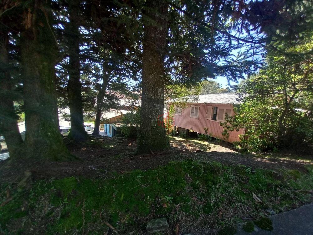 Casa, 6 quartos, 234 m² - Foto 3