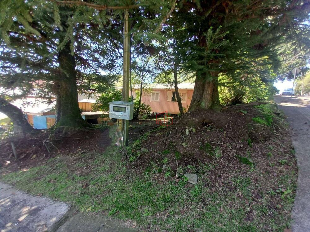 Casa, 6 quartos, 234 m² - Foto 2