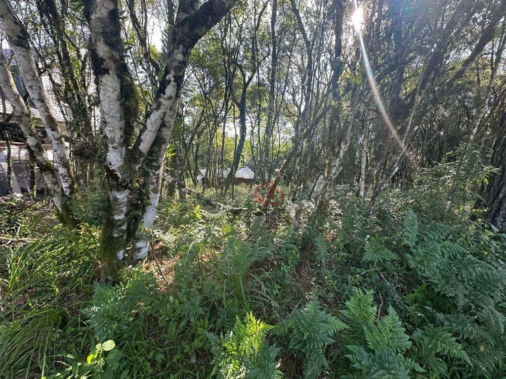 Terreno, 544 m² - Foto 3