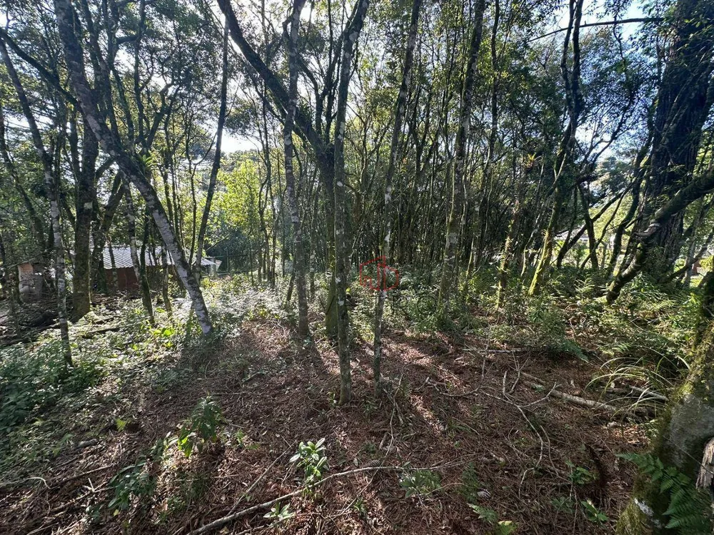 Terreno, 544 m² - Foto 4