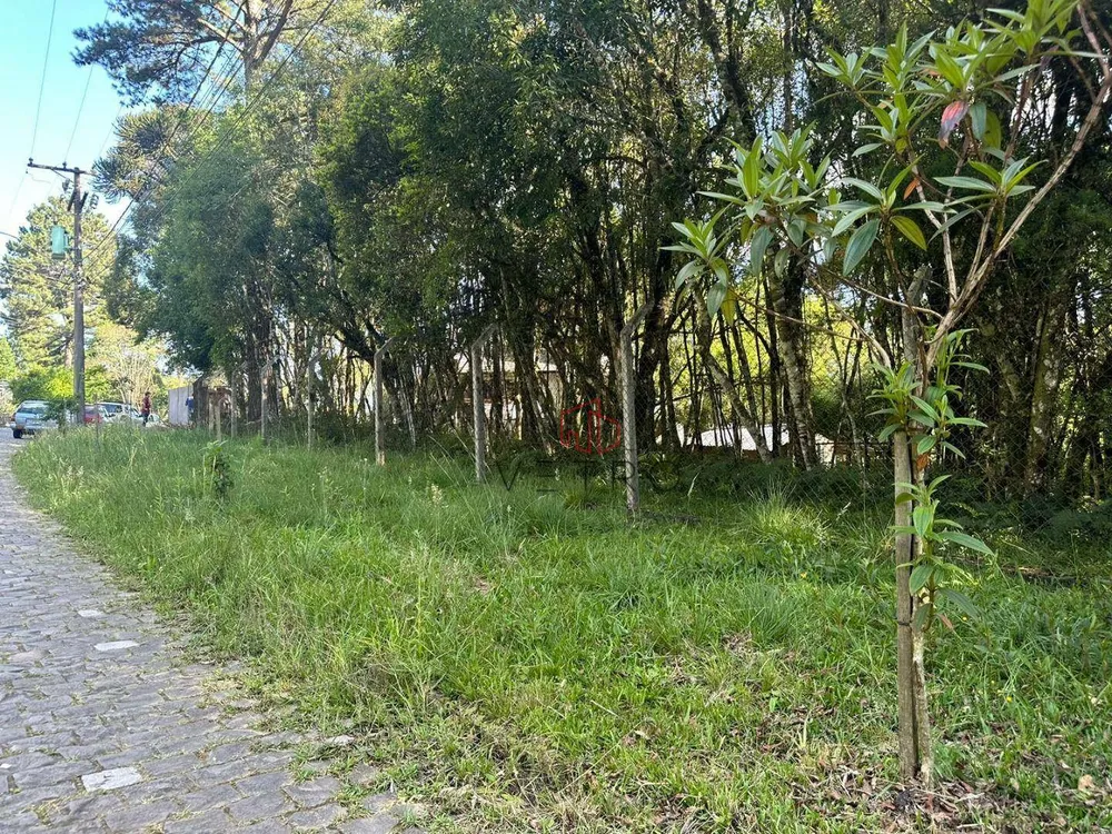Terreno, 544 m² - Foto 2