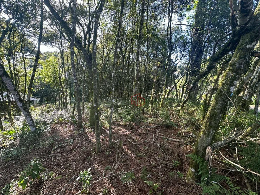 Terreno, 544 m² - Foto 1