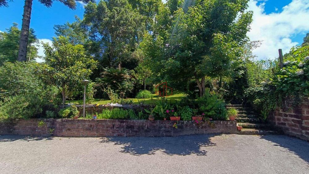 Casa, 4 quartos, 230 m² - Foto 6