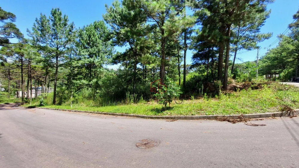 Loteamento e Condomínio, 540 m² - Foto 4