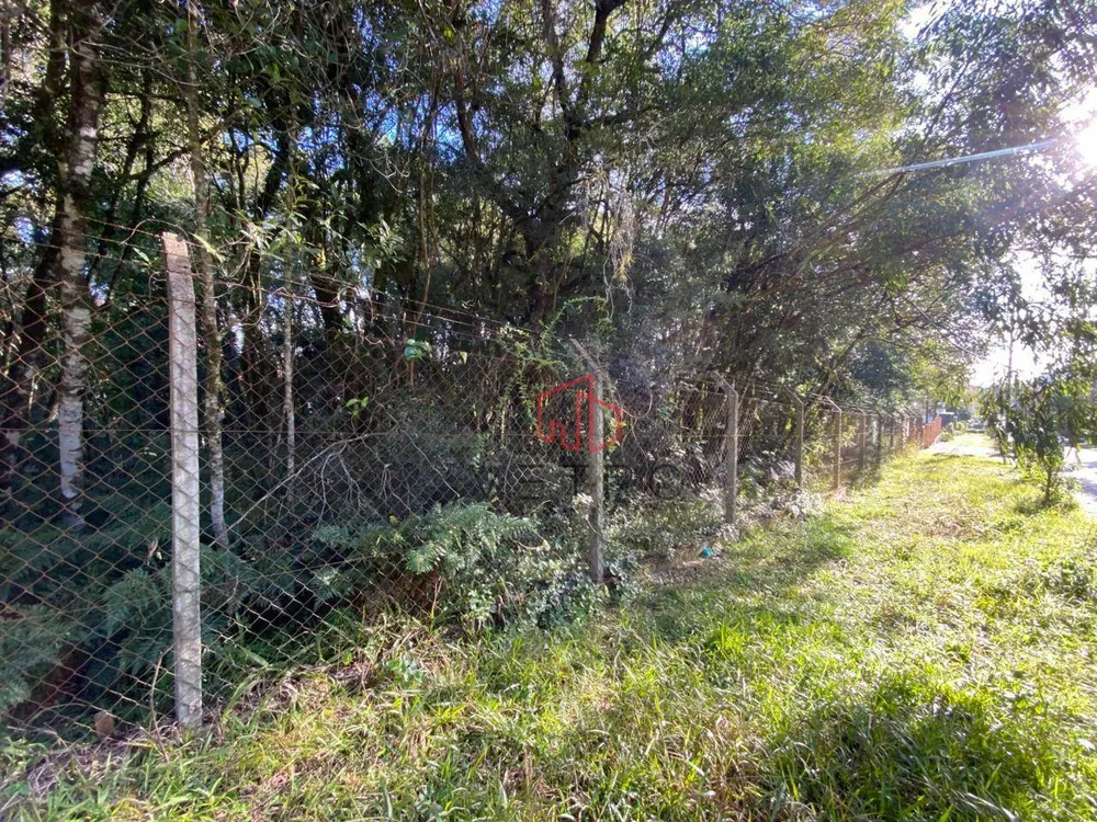Terreno, 544 m² - Foto 2