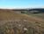 Sítio, 7 hectares - Foto 7