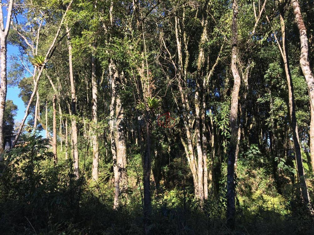 Loteamento e Condomínio, 805 m² - Foto 3