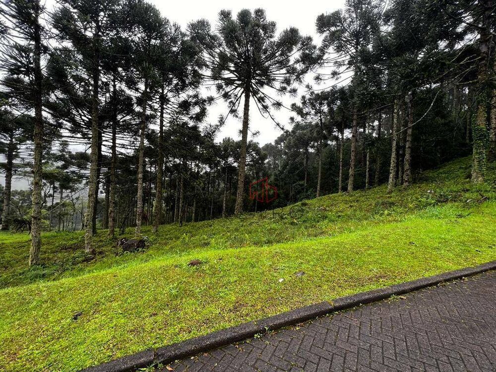 Loteamento e Condomínio, 800 m² - Foto 4