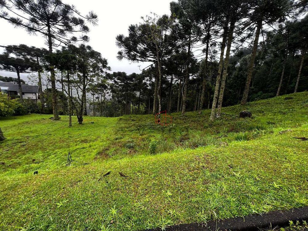 Loteamento e Condomínio, 800 m² - Foto 6
