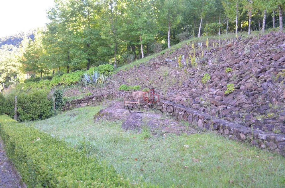Sítio, 9 hectares - Foto 3