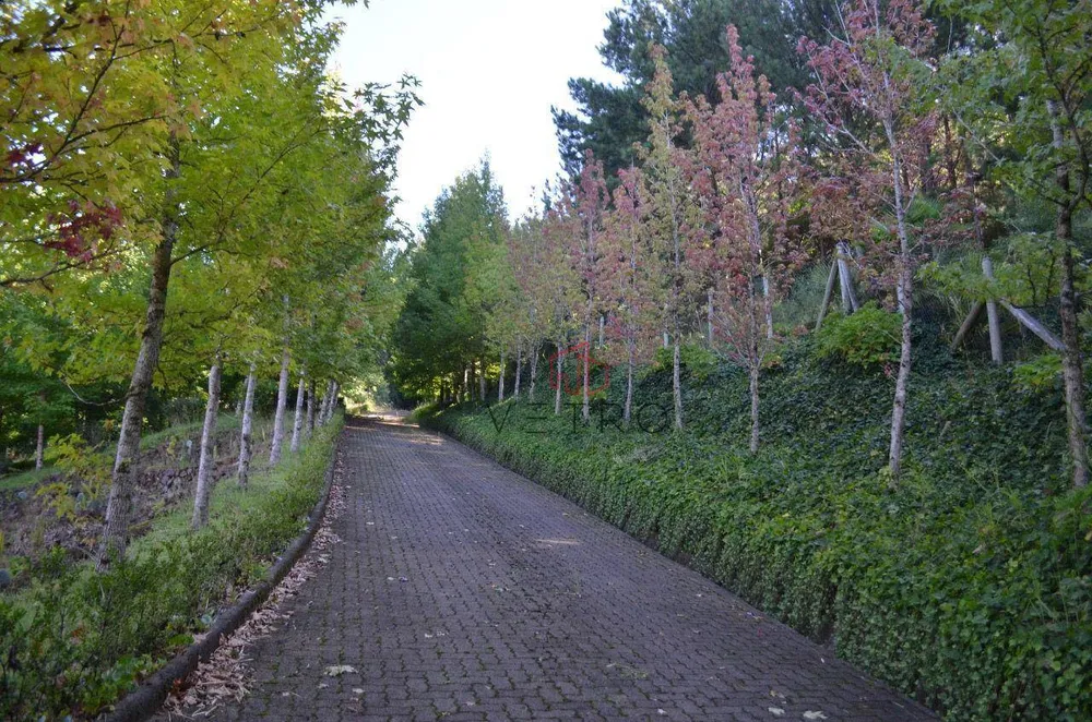 Sítio, 9 hectares - Foto 2
