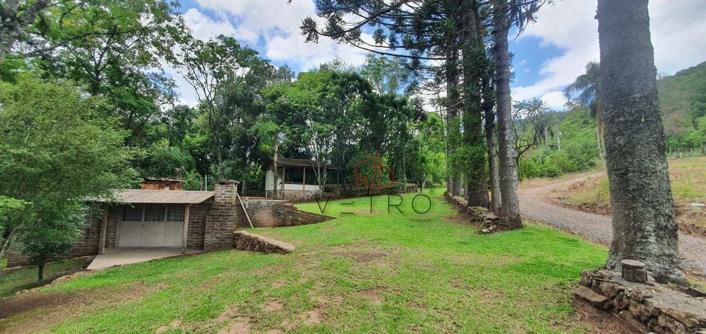 Sítio, 11 hectares - Foto 1