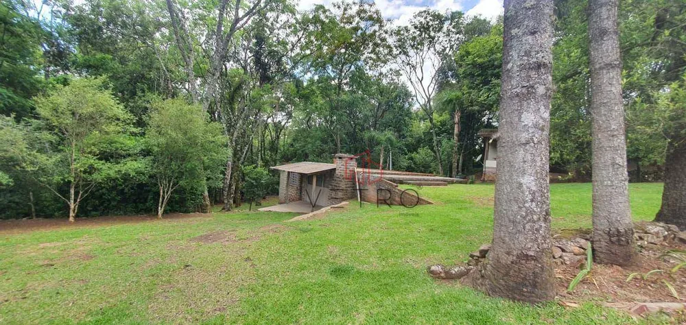 Sítio, 11 hectares - Foto 4