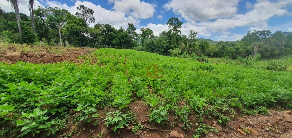 Sítio, 11 hectares - Foto 8