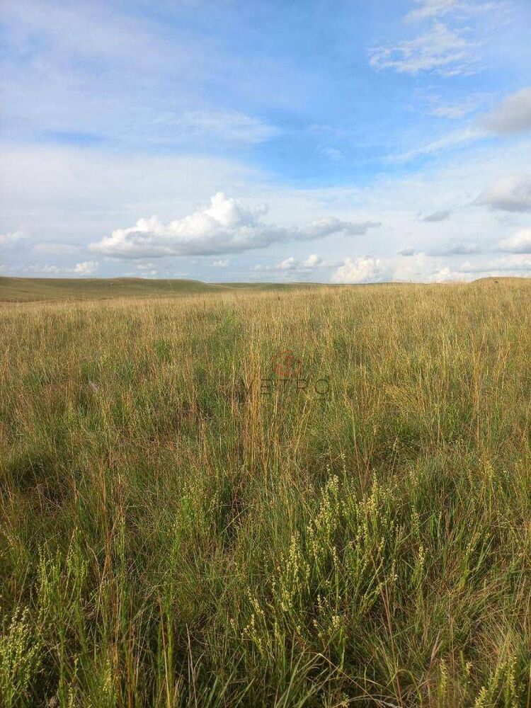 Sítio, 18 hectares - Foto 4