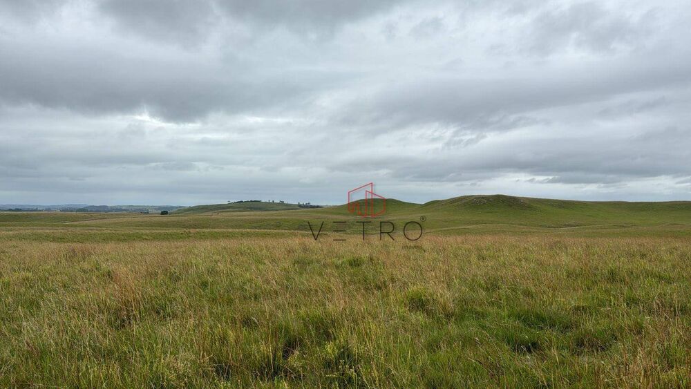 Sítio, 18 hectares - Foto 1