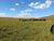Sítio, 18 hectares - Foto 2