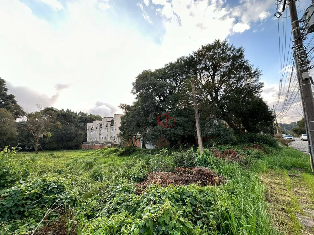 Terreno, 2348 m² - Foto 4