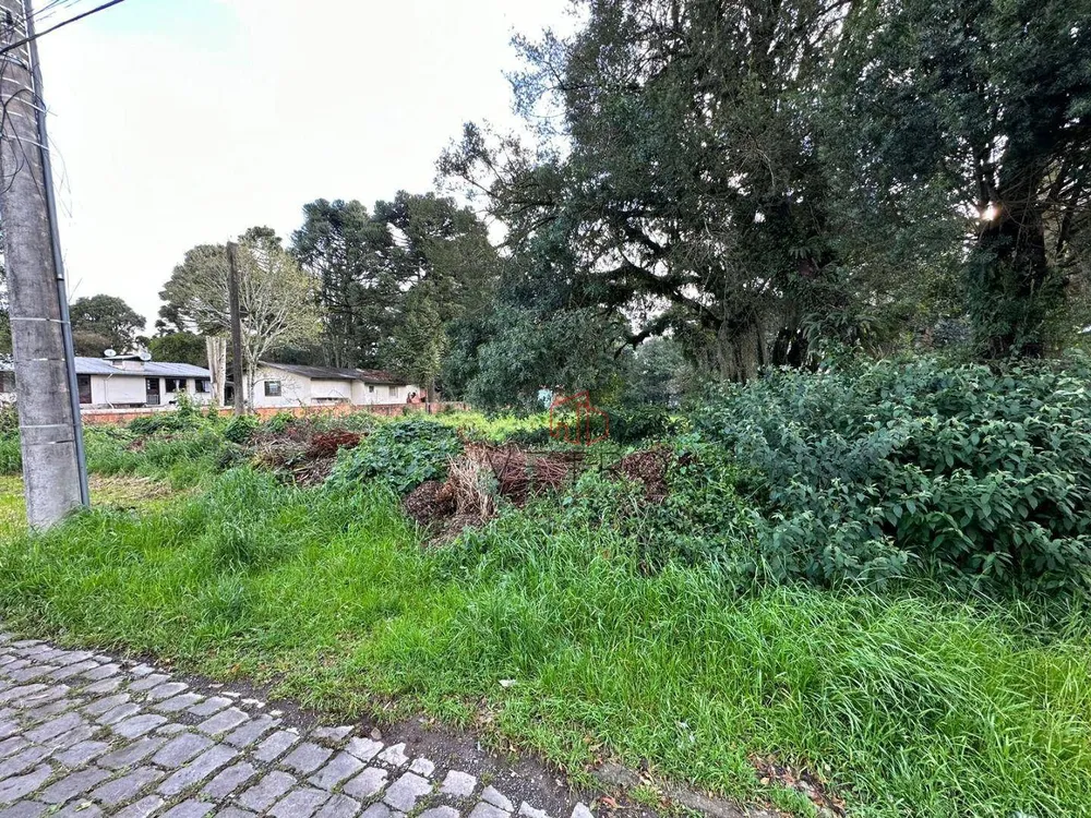 Terreno, 2348 m² - Foto 5
