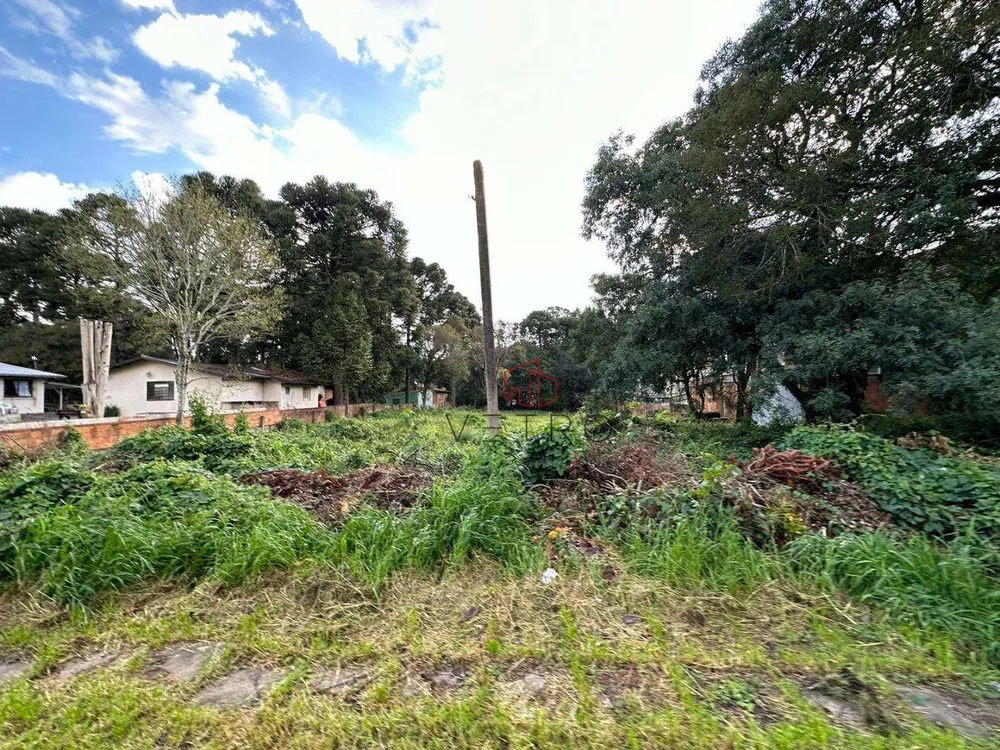 Terreno, 2348 m² - Foto 2