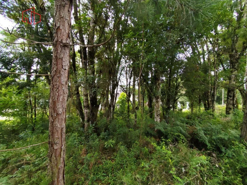 Terreno, 600 m² - Foto 7