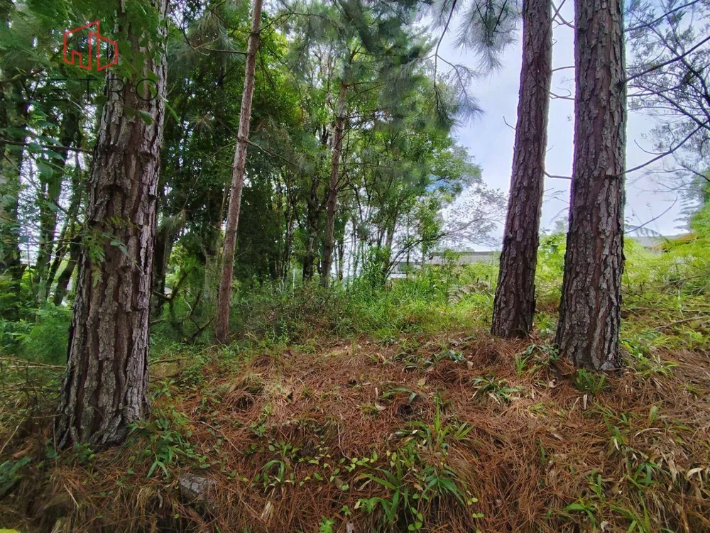 Terreno, 600 m² - Foto 5