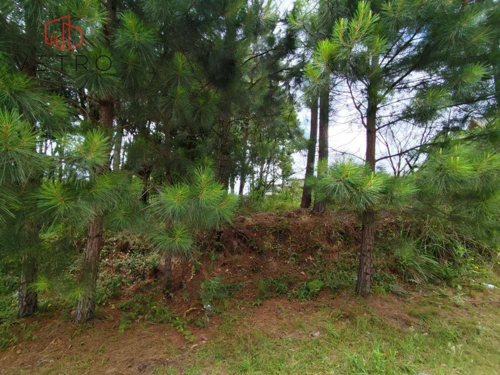 Terreno, 600 m² - Foto 8