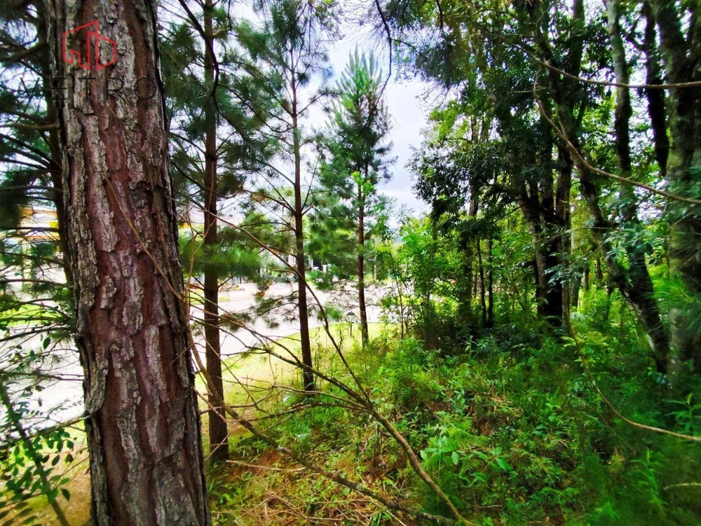 Terreno, 600 m² - Foto 3