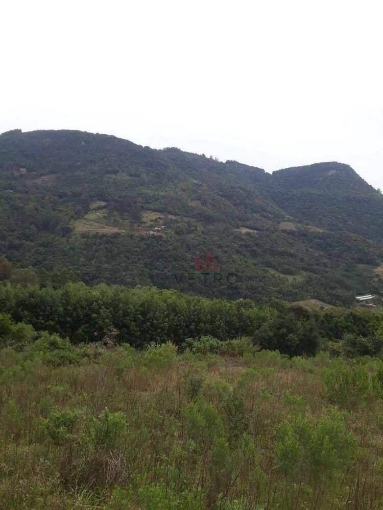 Sítio à venda, 12000M2 - Foto 10
