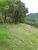 Sítio, 1 hectares - Foto 4