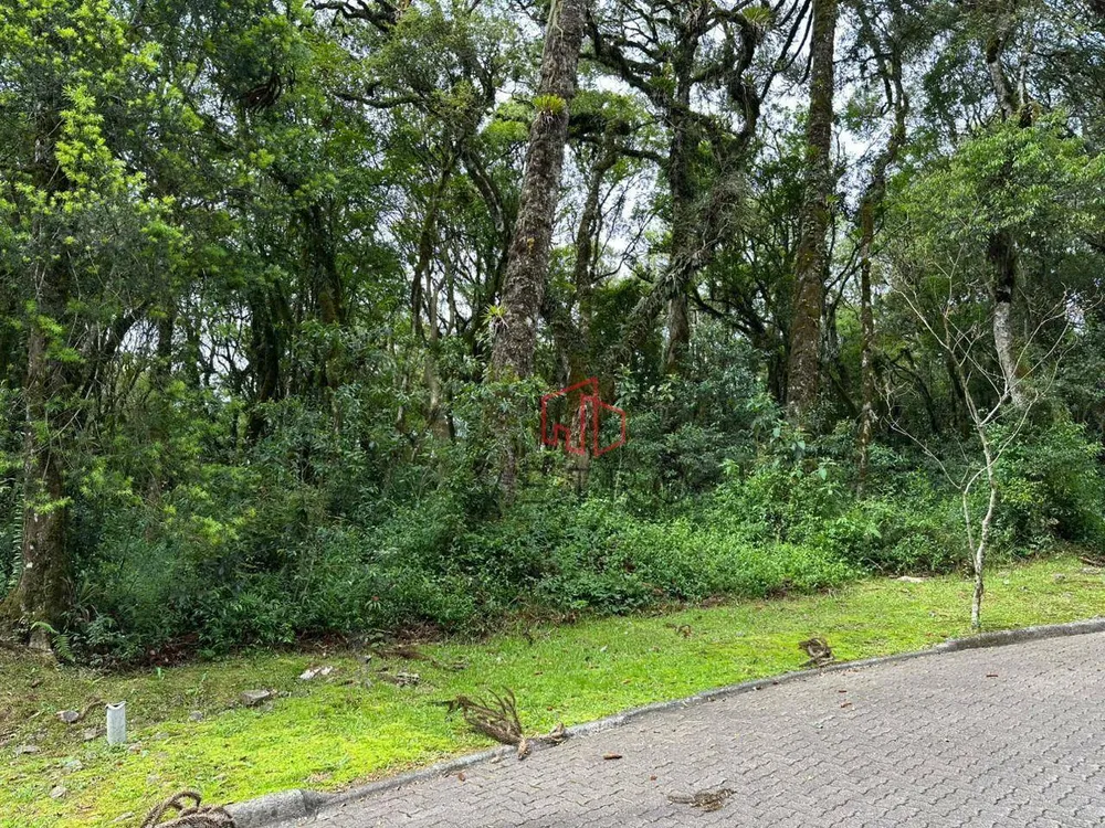 Loteamento e Condomínio, 782 m² - Foto 3